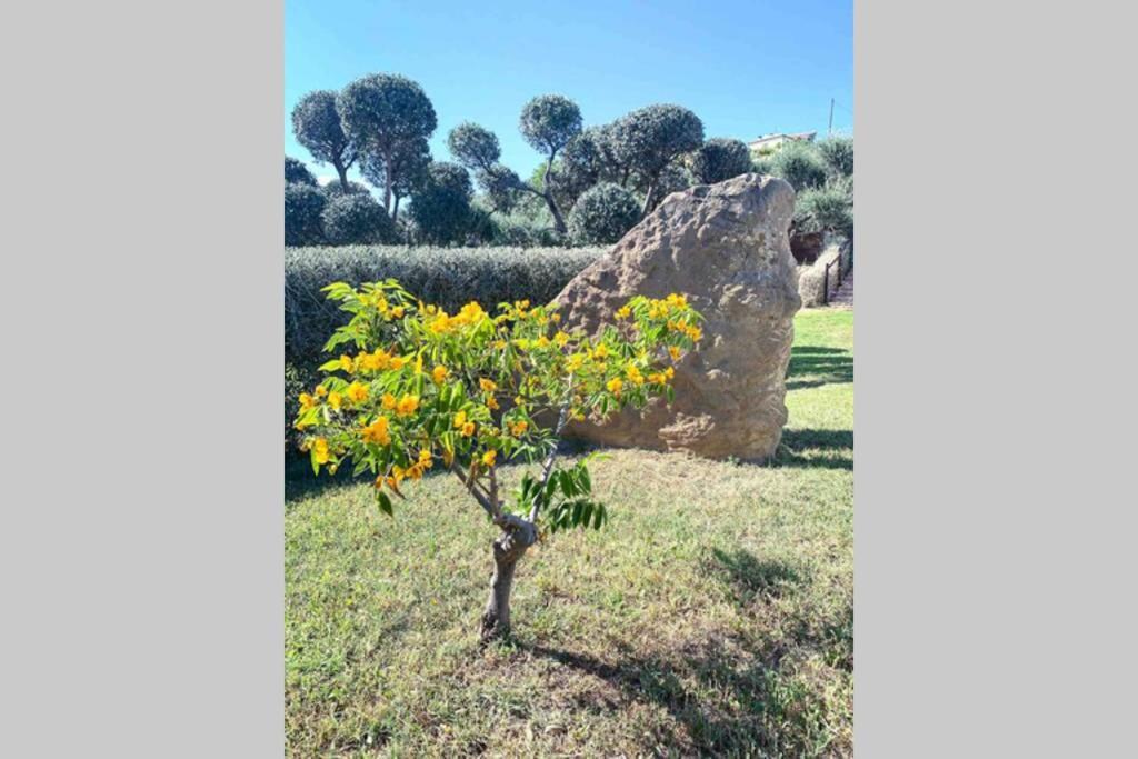 Thevilla Holiday Silvi Marina Bagian luar foto