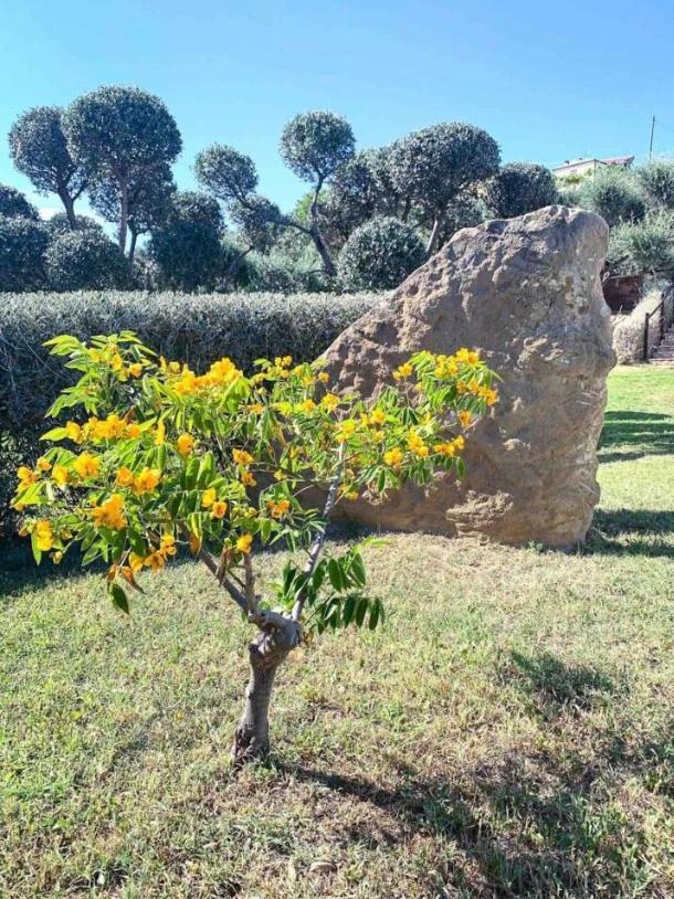Thevilla Holiday Silvi Marina Bagian luar foto