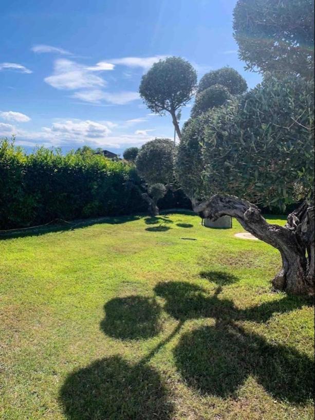 Thevilla Holiday Silvi Marina Bagian luar foto